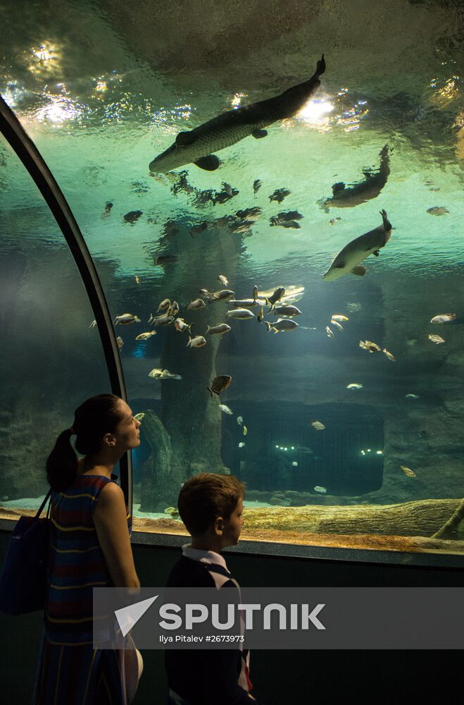 Moskvarium Center of Oceanography and Marine Biology opens at Moscow's VDNKh