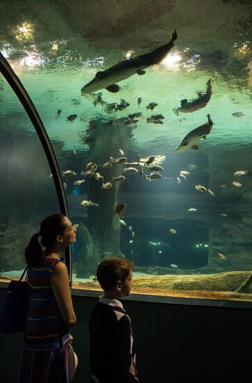 Moskvarium Center of Oceanography and Marine Biology opens at Moscow's VDNKh