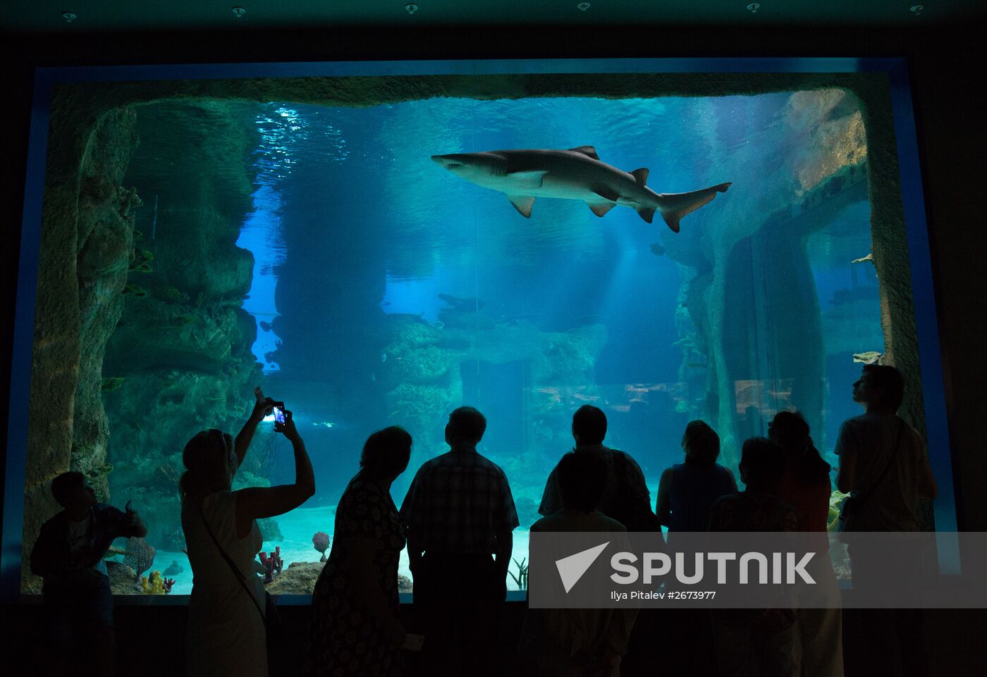 Moskvarium Center of Oceanography and Marine Biology opens at Moscow's VDNKh