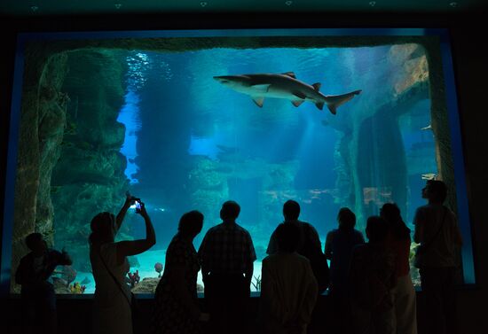 Moskvarium Center of Oceanography and Marine Biology opens at Moscow's VDNKh