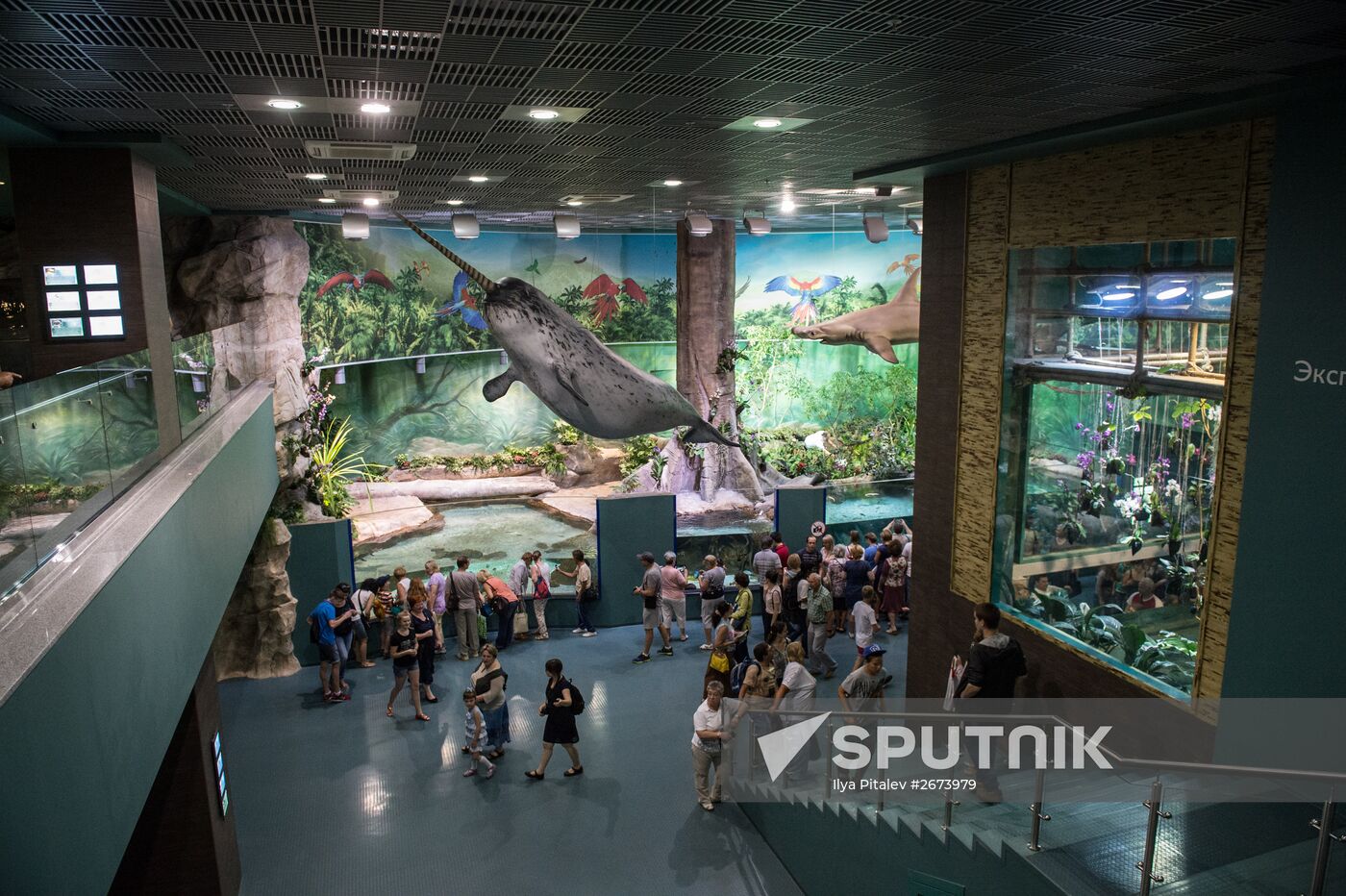 Moskvarium Center of Oceanography and Marine Biology opens at Moscow's VDNKh