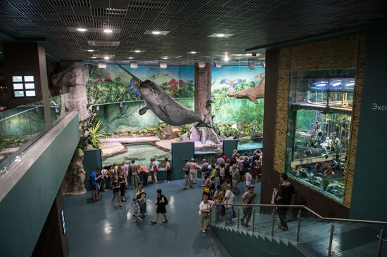 Moskvarium Center of Oceanography and Marine Biology opens at Moscow's VDNKh
