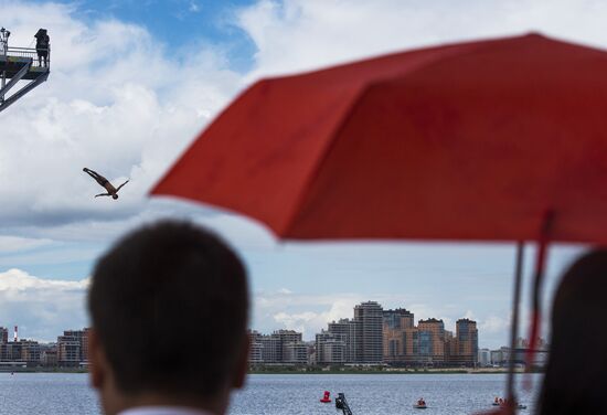 2015 FINA World Championships. High diving. Men. 27m platform. Finals