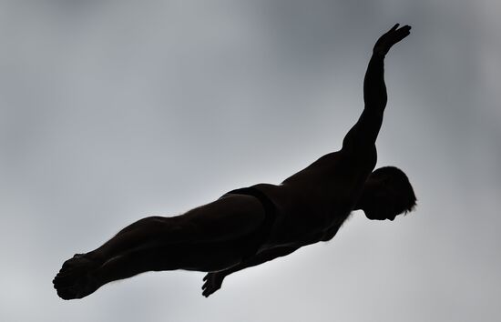 2015 FINA World Championships. High diving. Men. 27m platform. Finals