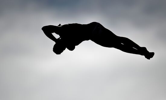 2015 FINA World Championships. High diving. Men. 27m platform. Finals