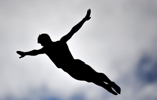 2015 FINA World Championships. High diving. Men. 27m platform. Finals