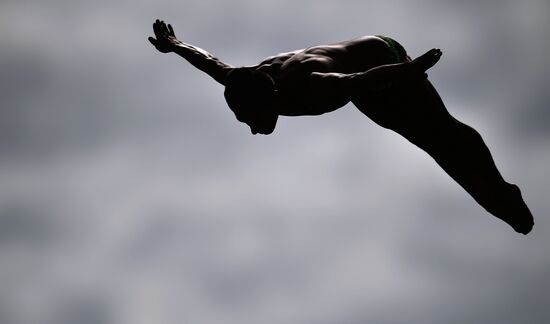 2015 FINA World Championships. High diving. Men. 27m platform. Finals