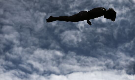 2015 FINA World Championships. High diving. Men. 27m platform. Finals