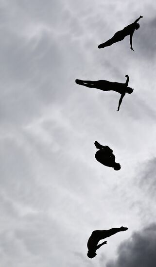 2015 FINA World Championships. High diving. Men. 27m platform. Finals