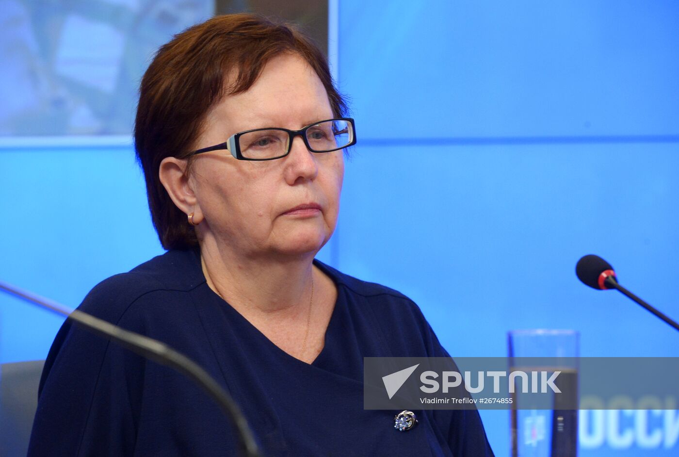 News conference timed to one year's anniversary of death of Andrei Stenin, Rossiya Segodnya photo correspondentA