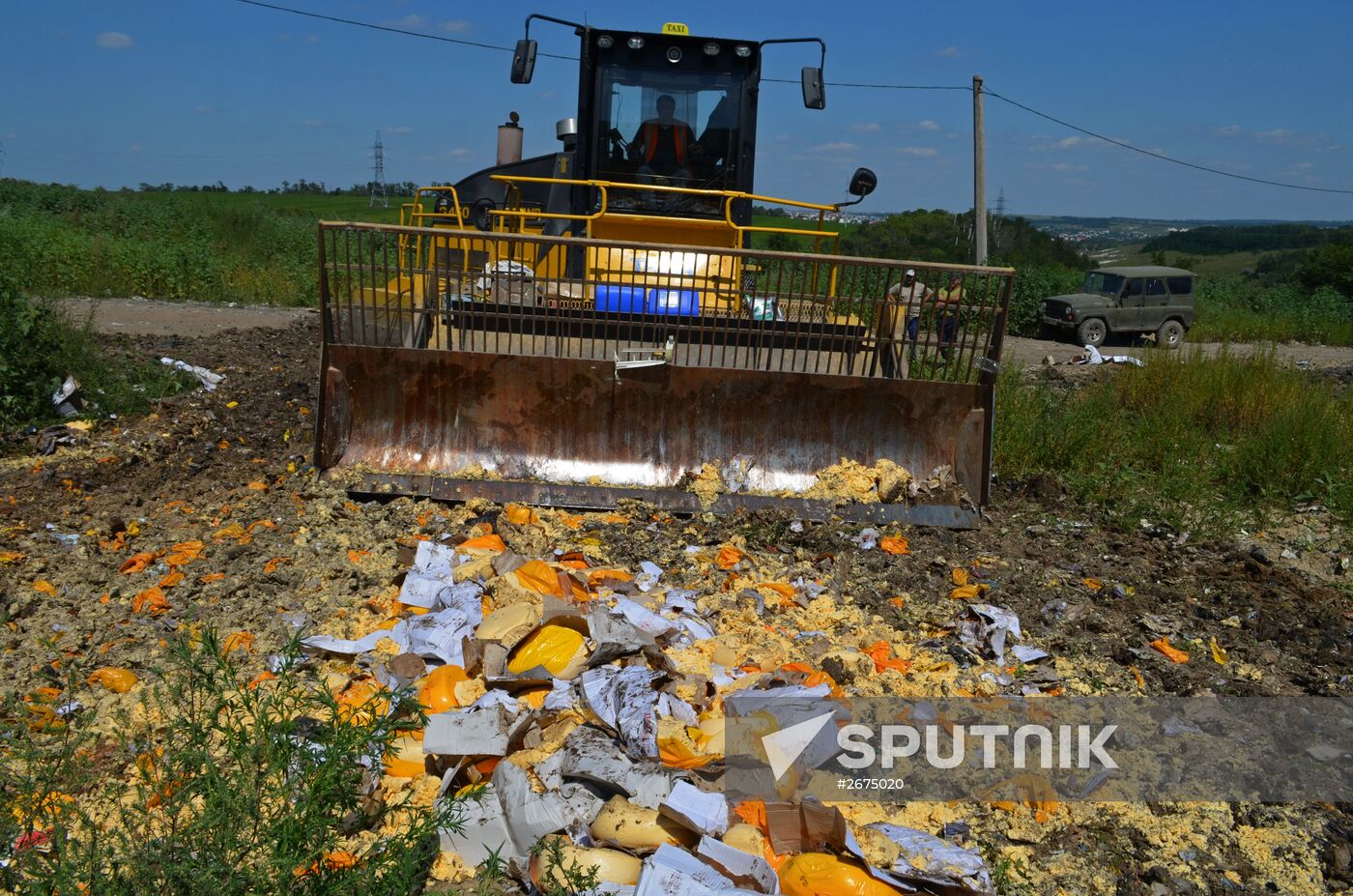 Elimination of sanctions products in Russia