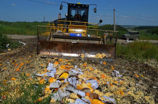 Elimination of sanctions products in Russia