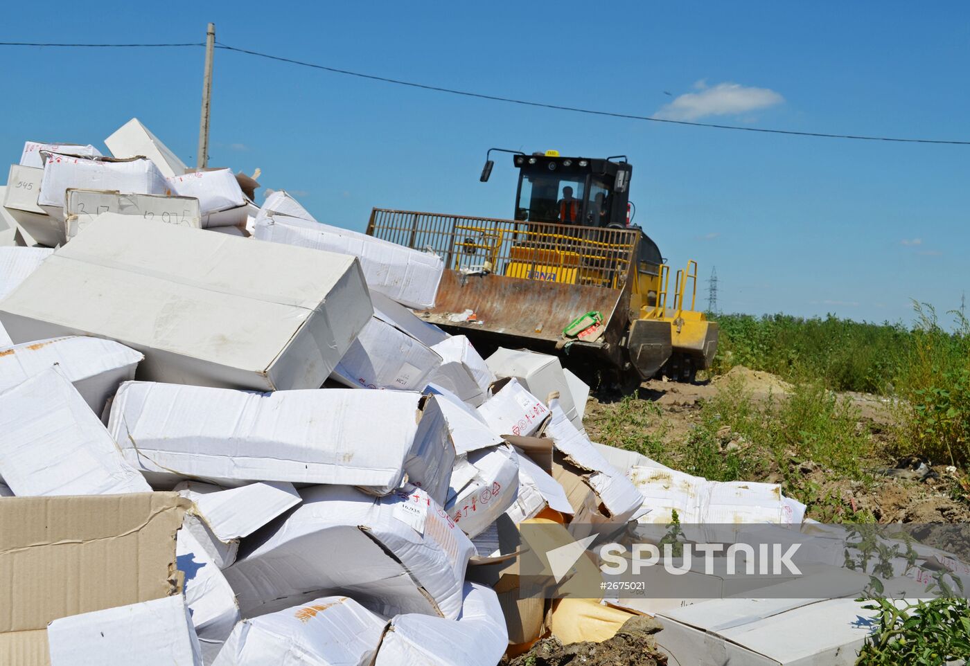 Elimination of sanctions products in Russia