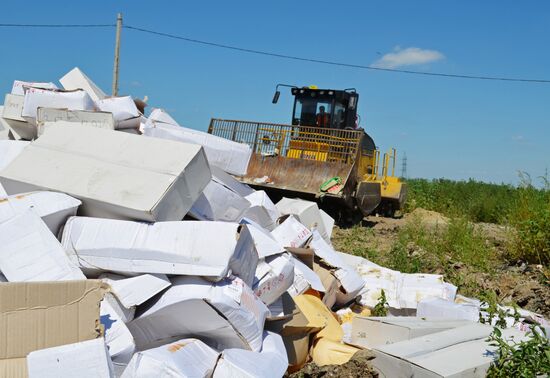 Elimination of sanctions products in Russia