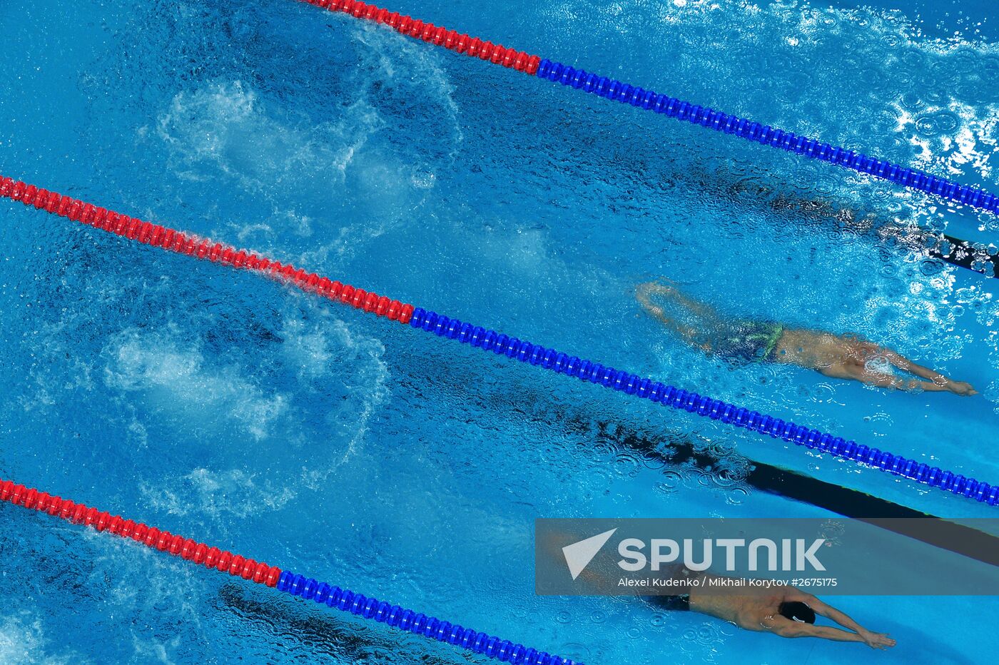 2015 FINA World Championships. Swimming. Day Five. Evening session