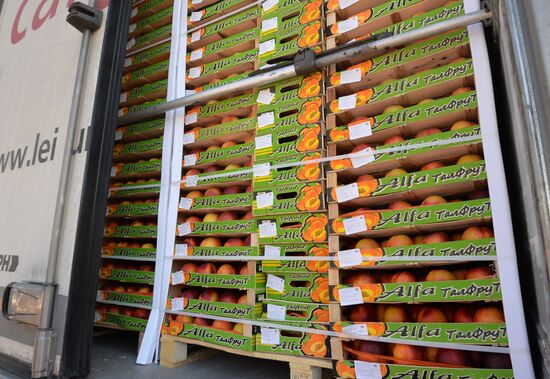 Sanctioned foods destroyed in Russia