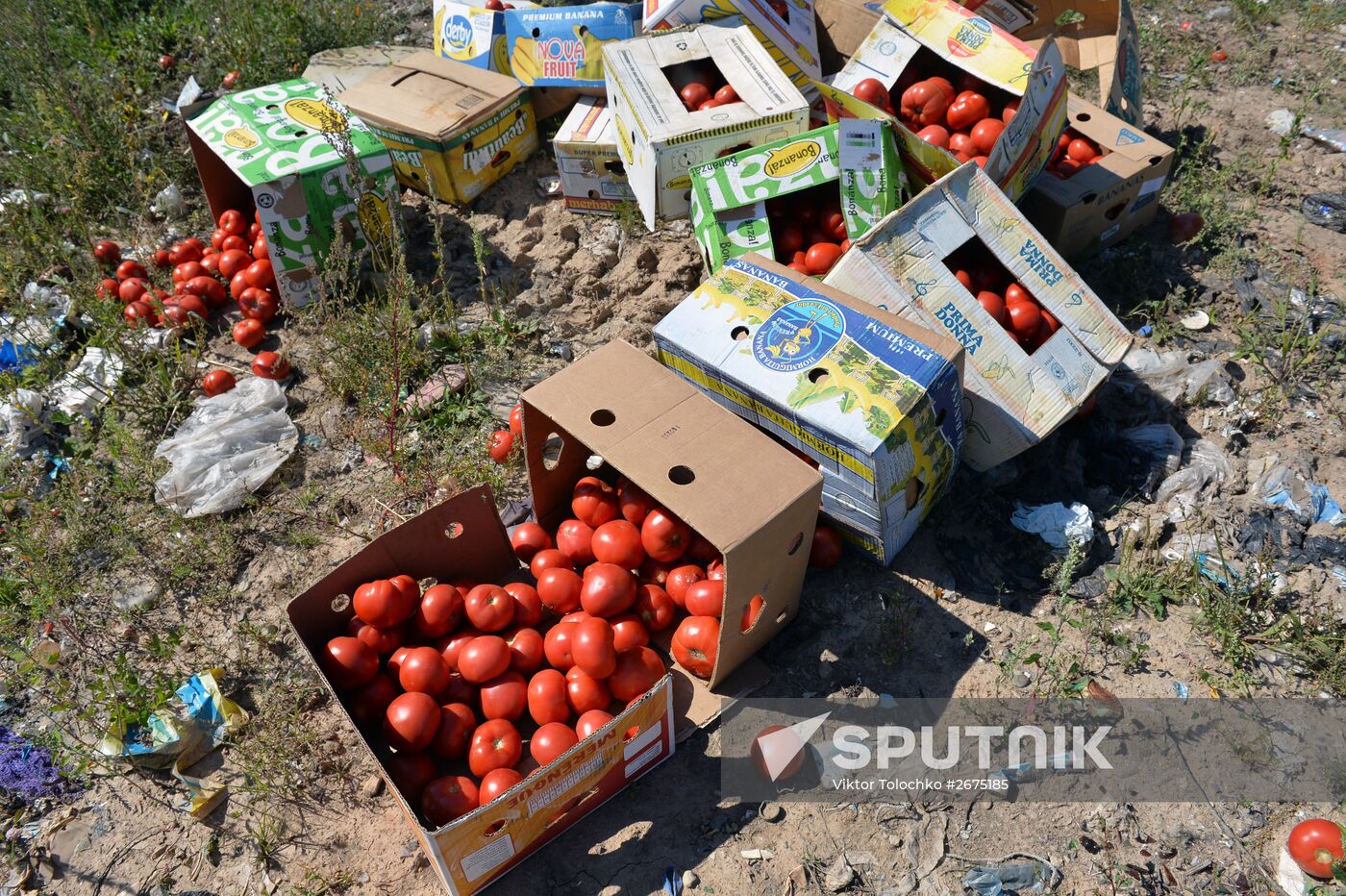 Sanctioned foods destroyed in Russia