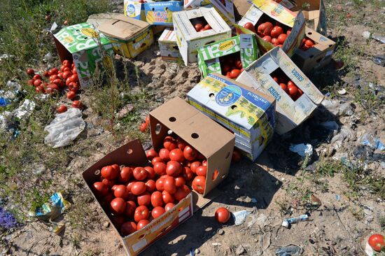 Sanctioned foods destroyed in Russia