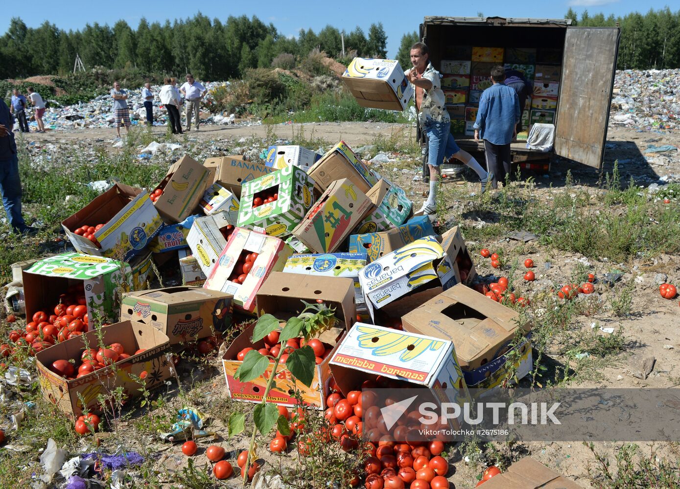 Sanctioned foods destroyed in Russia