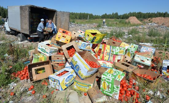 Sanctioned foods destroyed in Russia