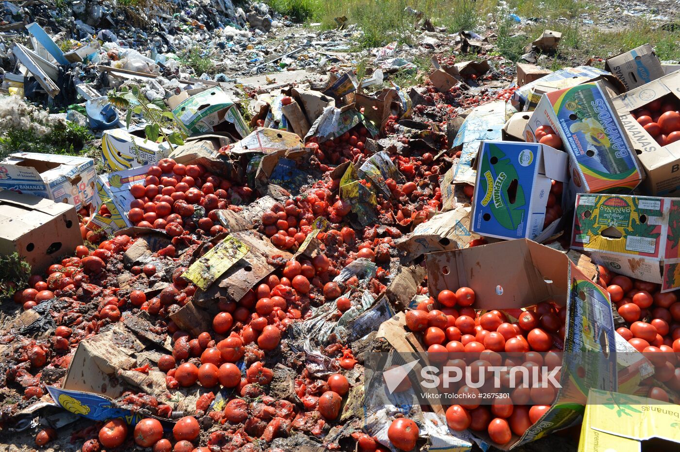 Elimination of sanctions products in Russia