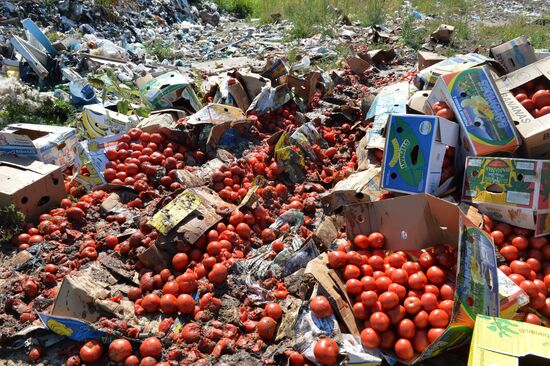Elimination of sanctions products in Russia