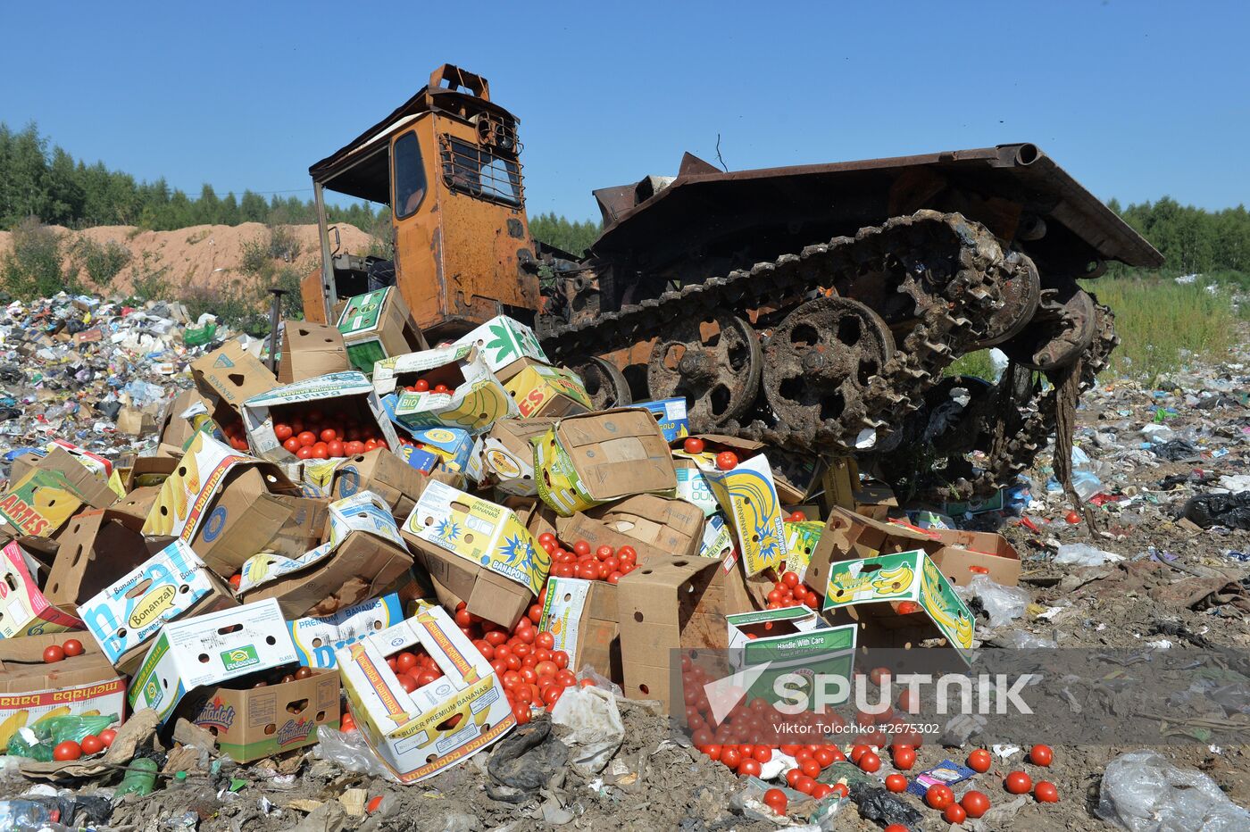 Elimination of sanctions products in Russia