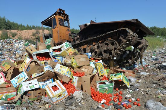 Elimination of sanctions products in Russia