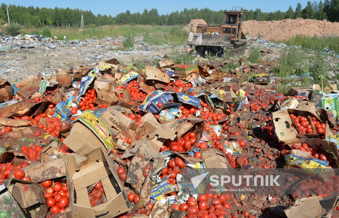 Elimination of sanctions products in Russia