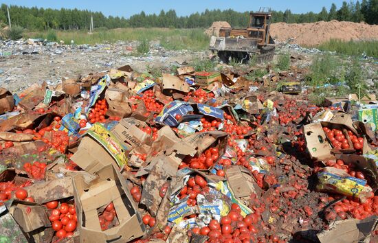 Elimination of sanctions products in Russia