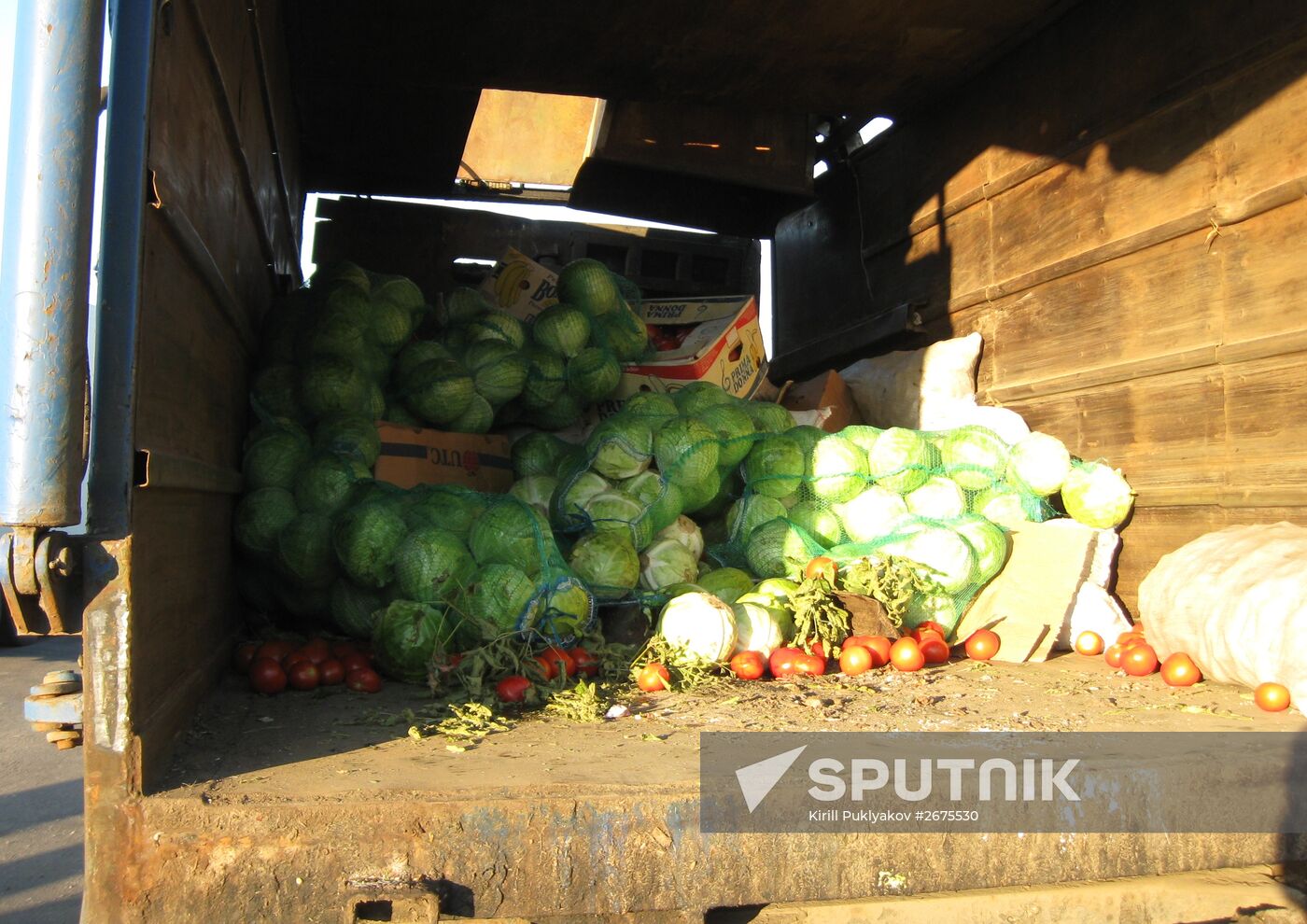 Elimination of sanctions products in Russia