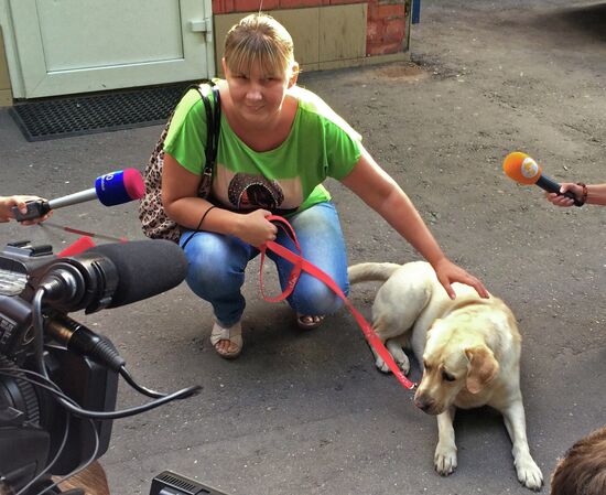 Investigators find Moscow blind singer's stolen guide-dog