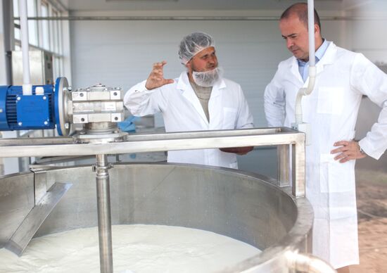 Private cheese dairy opens in Istrinsky District