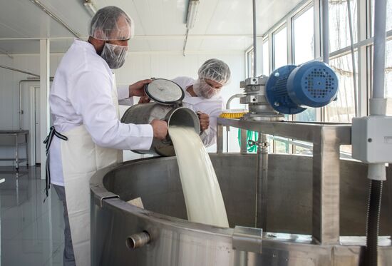Private cheese dairy opens in Istrinsky District