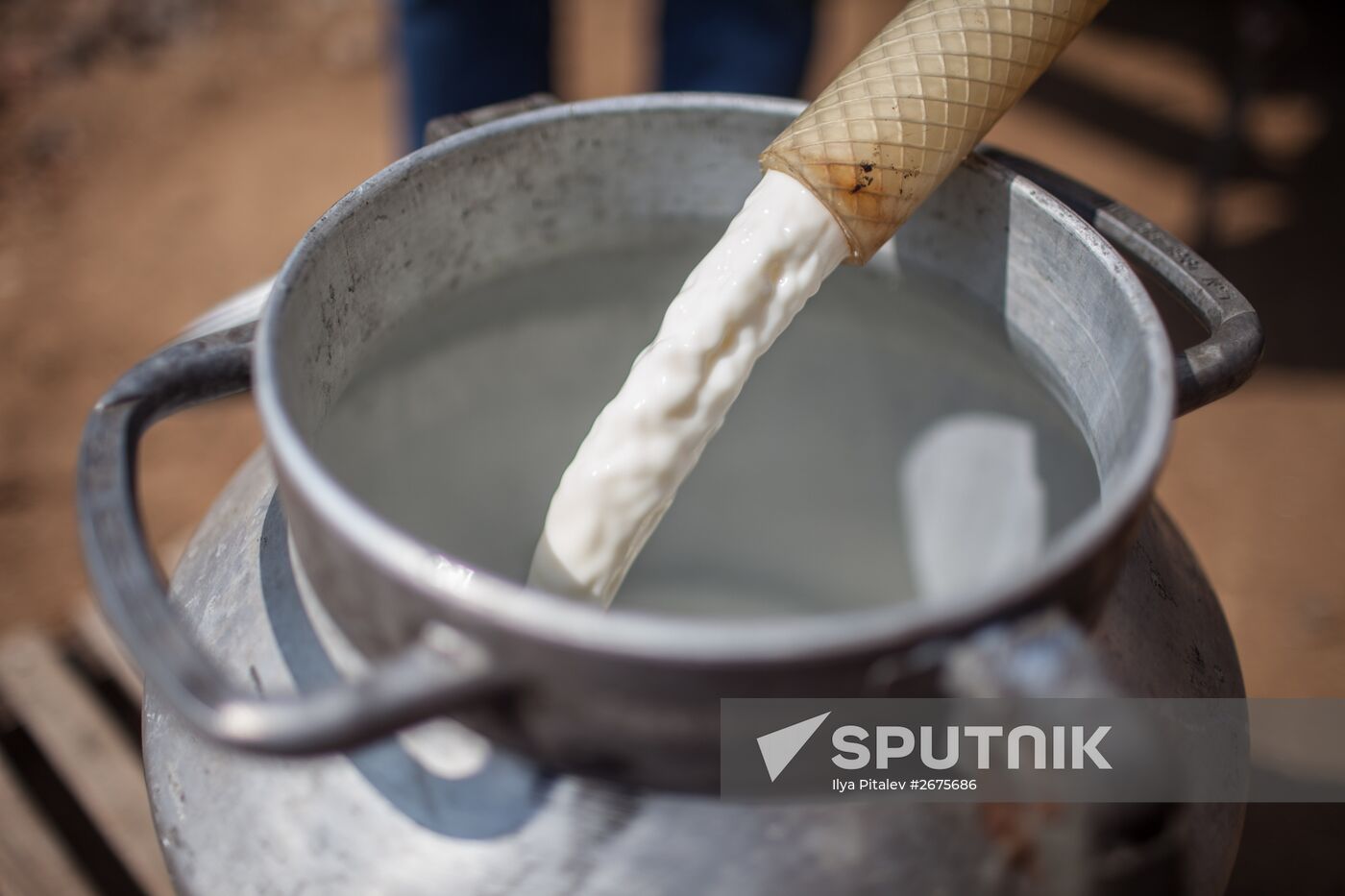 Private cheese dairy opens in Istrinsky District