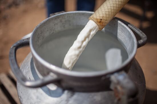 Private cheese dairy opens in Istrinsky District