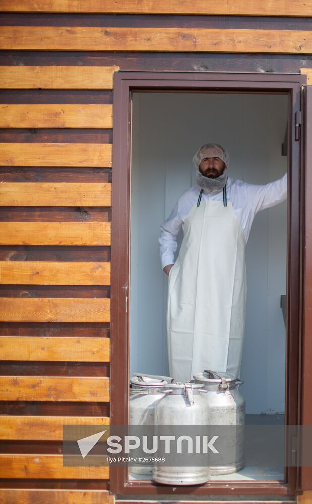 Private cheese dairy opens in Istrinsky District