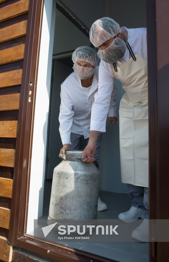 Private cheese dairy opens in Istrinsky District