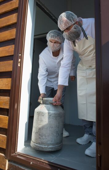Private cheese dairy opens in Istrinsky District