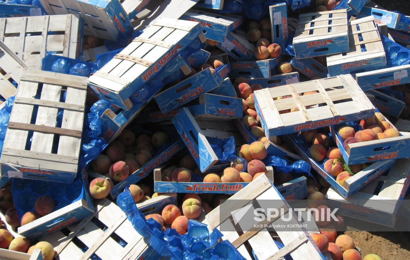 Elimination of sanctions products in Russia