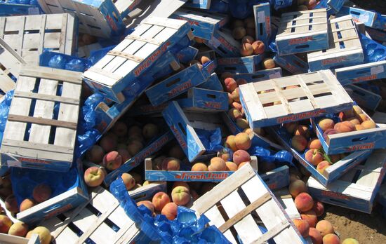 Elimination of sanctions products in Russia