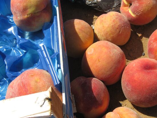 Elimination of sanctions products in Russia