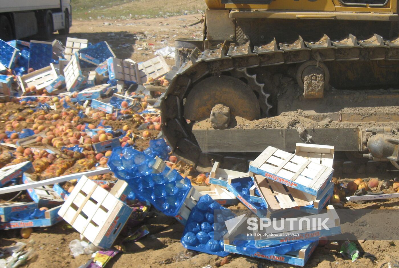 Elimination of sanctions products in Russia