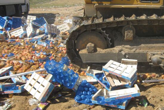 Elimination of sanctions products in Russia