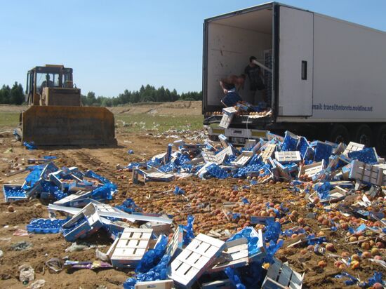 Elimination of sanctions products in Russia