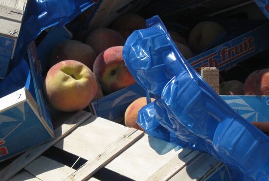 Elimination of sanctions products in Russia