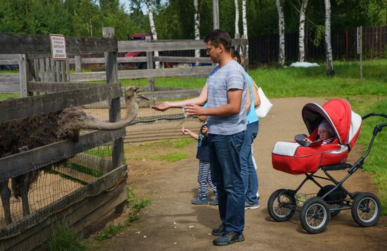 Ostrich Farm in Leningrad Region