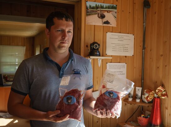 Ostrich Farm in Leningrad Region