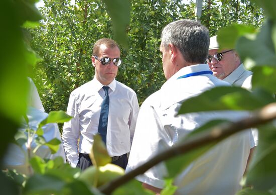 Russian Prime Minister Dmitry Medvedev's working visit to Southern Federal District