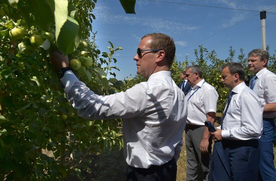 Russian Prime Minister Dmitry Medvedev's working visit to Southern Federal District